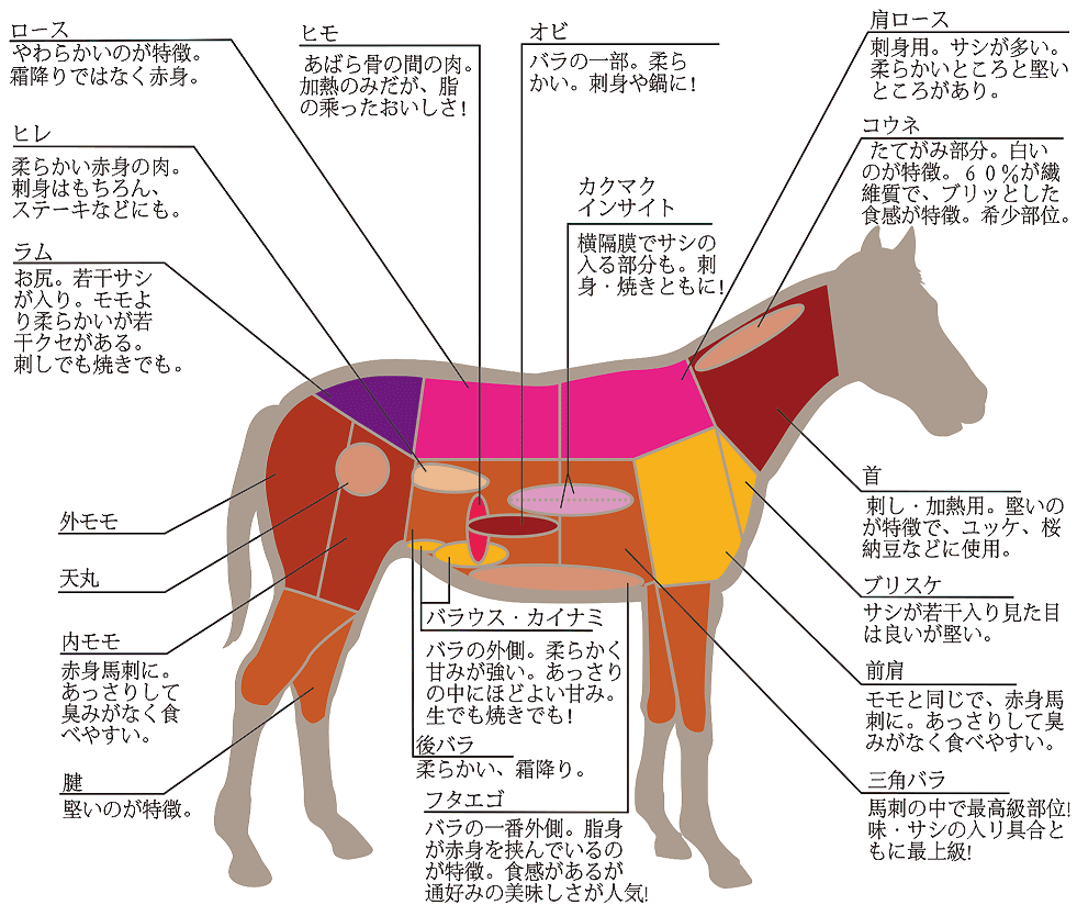 辰美の馬肉分割図