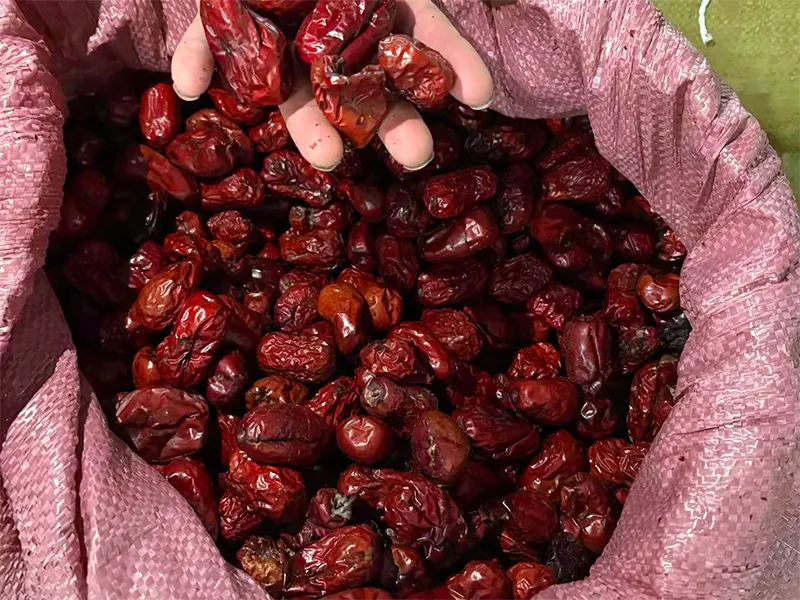 紅棗